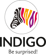 Indigo Paints IPO 
